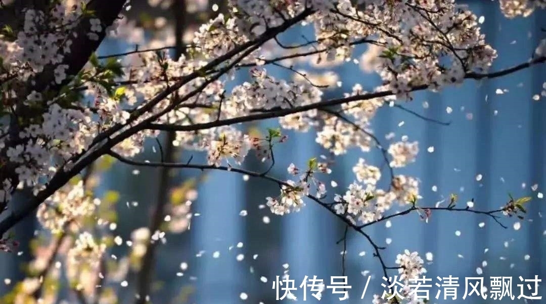 李桃&诗人郑谷一首梅花七律，芬芳盈袖，妍胜李桃，离情别绪，魂断楚桥